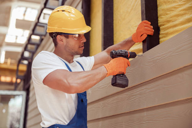 Best Fascia and Soffit Installation  in Winner, SD